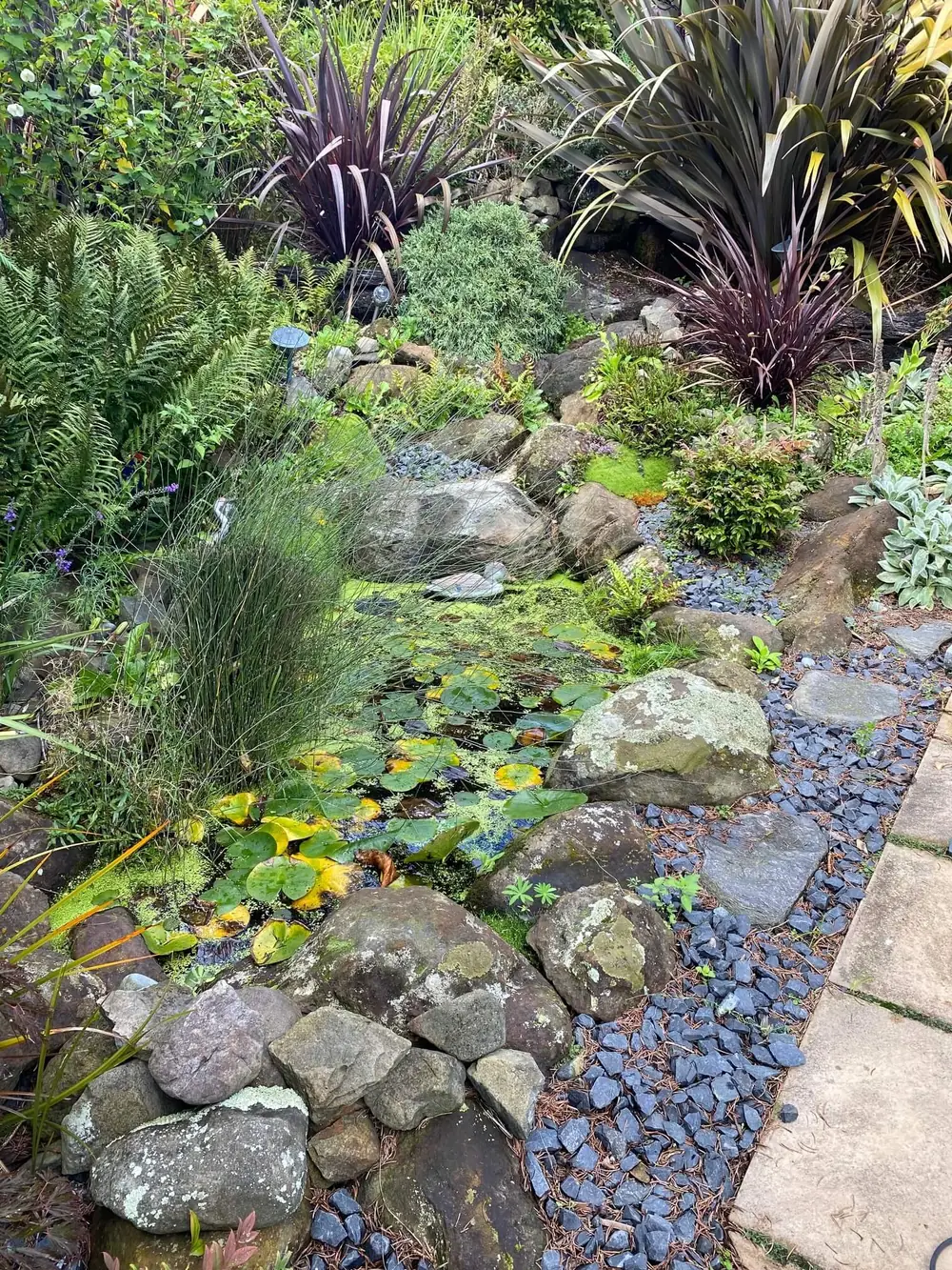 A neglected pond with murky green water and overgrown edges, before restoration