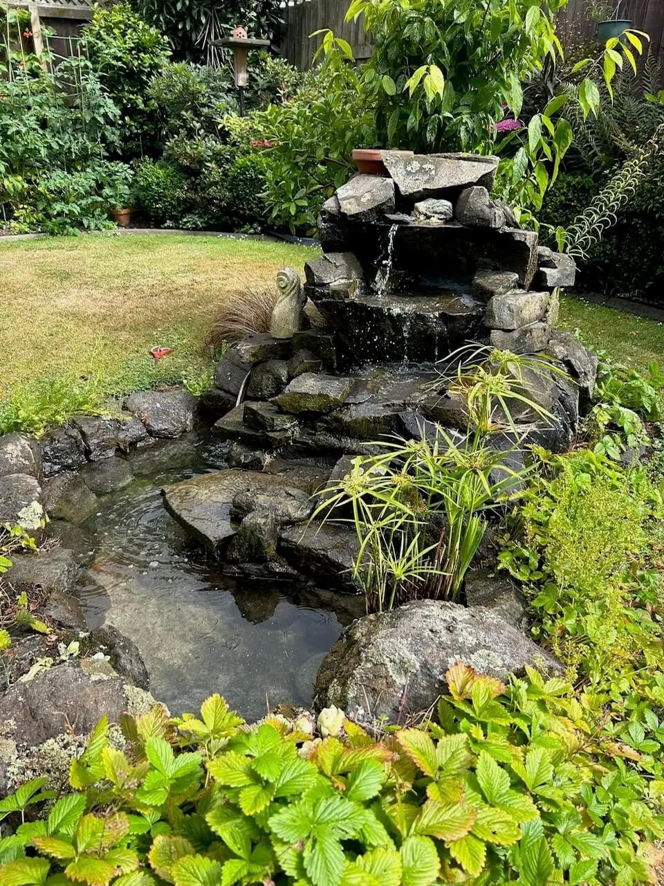 The same pond fully restored, with clear water and tidy surrounds