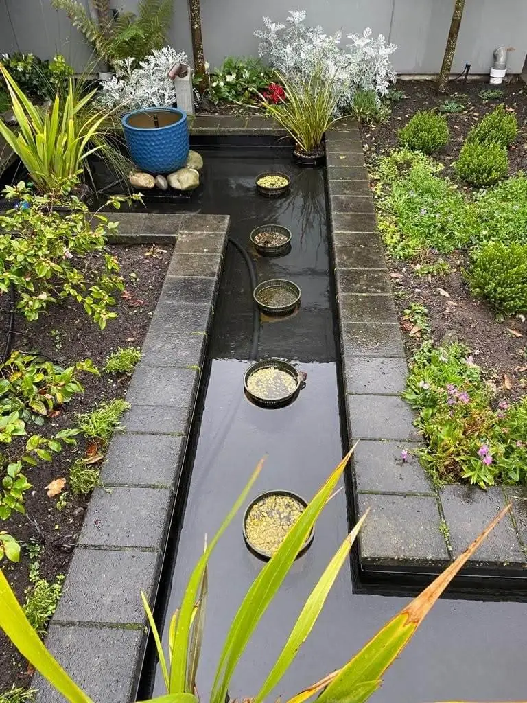 The same pond after a deep clean, with clear water and visible pond floor