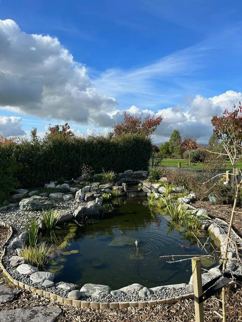 Garden pond reflecting a clear blue sky