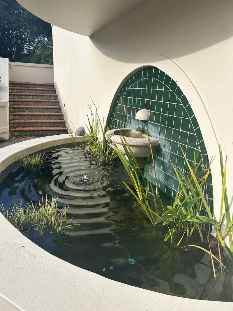 Modern curved pond with clean edging