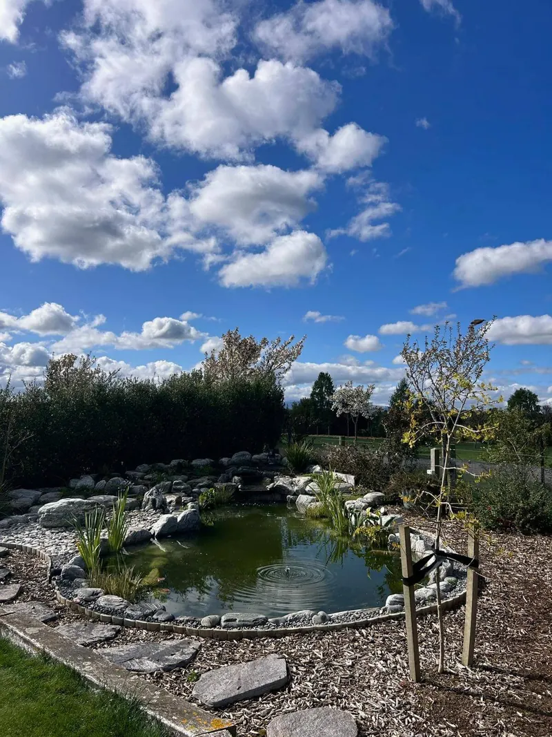 A large naturalistic pond with a rock waterfall, stone edging and planted margins, on a lifestyle block under a big blue sky