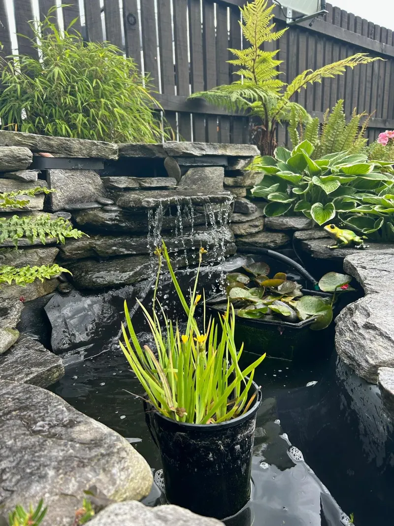 Pond with a waterfall feature and surrounding planting