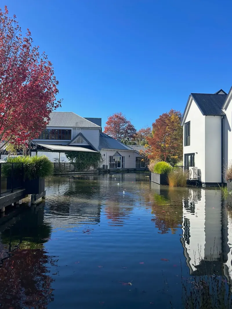 Pond and water feature in a garden with contemporary architecture behind